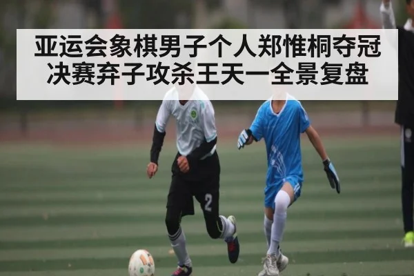 亚运会象棋男子个人郑惟桐夺冠决赛弃子攻杀王天一全景复盘 - kaiyun